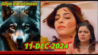 Alia died due to wolf bite   GEHNA ZEWAR YA ZANJIR [upl. by Waltner]