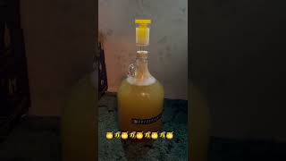 Day 2 pre degassing and day 2 nutrients￼ honey bee diy mead craftabrew hobby wine love [upl. by Eilyk]