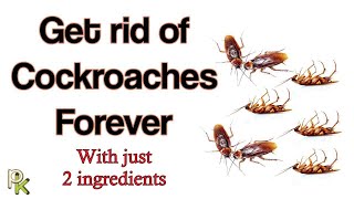 How to get rid of Cockroaches in your home with just 2 ingredients [upl. by Rowley]