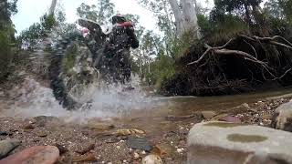 Crossing the Aberfeldy River Eaton Track with Lachie Jono and MrWiretap Billy Smith [upl. by Cuttler]