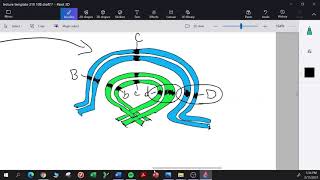 Genetics L10B Chromosome Abnormalities Paracentric Inversions Recommend 15x Speed [upl. by Jesse]