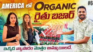 America 🇺🇸 Local Farmers Vegetable amp Fruits Market  Uma Telugu Traveller [upl. by Oicul]