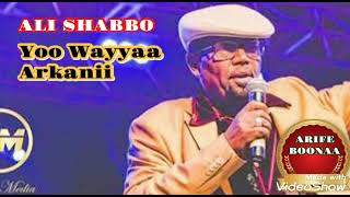 ALI SHABBO—Yoo wayyaa arkani—great oromo music [upl. by Rusel]