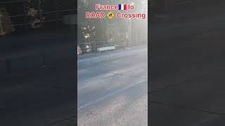 Francelo 🇲🇫Road crossing 🚸 france francelotelugollu dosubscribe dosupport france paris vlog [upl. by Ehman55]