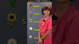 Types of Flowers🌻 Kids English Words  Adi Keshari Connection shorts [upl. by Erdnaek]