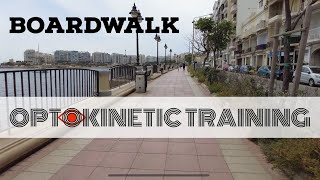 Advanced Vestibular Exercise Boardwalk [upl. by Terrilyn]