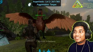 How To Tame Argentavis In Ark Survival Evolved Mobile [upl. by Asillam]