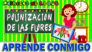 PARTES De Una FLOR 🌺 Polinización De Las Flores 🌼 CIENCIAS NATURALES Para NIÑOS [upl. by Eeleak474]