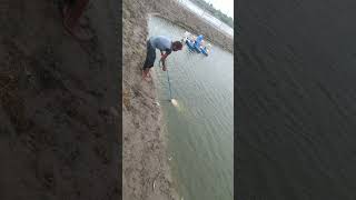 Shrimp baby seed shifting fishing seafoodrecipes crabe [upl. by Rekrap373]