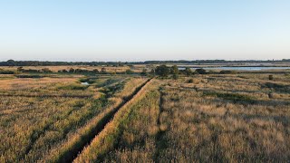 Hickling Broad  Norfolk Wildlife Trust [upl. by Suiramaj]