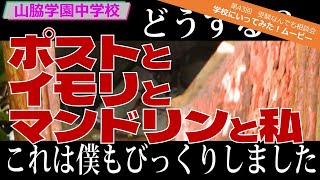 【第43回】受験なんでも相談会 学校に行ってみた！ムービー 山脇学園中学校 「ポストとイモリとマンドリンと私」 [upl. by Marlee269]