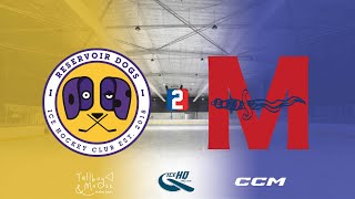 Reservoir Dogs v Mates  Div 2  2nd December  iceHQ Rec League ice hockey [upl. by Tolman]