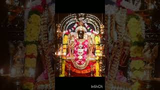 🙏🌺 kamatchi amman  meenatchi meenatchistatus kamatchi shortsfeed god [upl. by Claudianus394]