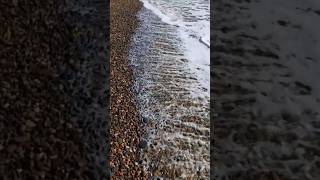 Тото Кутуньо quotИндийское Летоquot Toto Cutugno quotLEte Indienquot🎵🏛 part1🌊 Сочи 3102024☀️ [upl. by Meehaf]