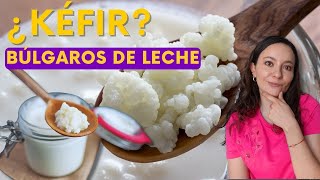 👍Beneficios de los búlgaros de leche kefir balanceandolavida [upl. by Lawley819]