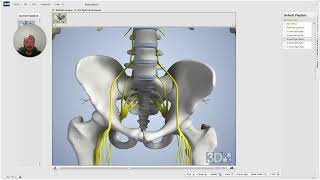 Understanding Sacroiliac Joint Sprain Strain Treatment 🦴 [upl. by Flita]