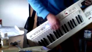 Dire Straits Sultans of Swing Keytar Solo [upl. by Jerz]