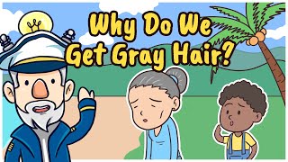 Why Do We Get Gray Hair [upl. by Damas156]