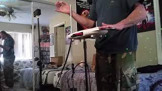 Moog Theremini All that Bass delay effects [upl. by Domela]