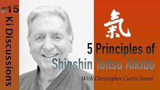 5 Principles of Shinshin Toitsu Aikido [upl. by Nwavahs]