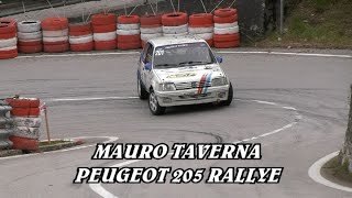 SALITA PEDAVENA  CROCE DAUNE 2024  MAURO TAVERNA  PEUGEOT 205 RALLYE  BY BELLUNOVIDEO [upl. by Peri580]