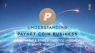 Navigating the PayNet Coin Ecosystem A Comprehensive Overview cryptocurrency altcoins bitcoins [upl. by Anderer]