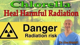 Chlorella The Healing Superfood Power to Harmful Radiation  Dr Alan Mandell DC [upl. by Iral151]