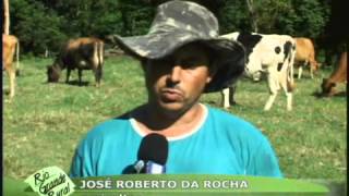 Programa Mais Leite  Programa Rio Grande Rural [upl. by Reynold]