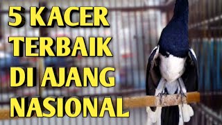 5 DAFTAR KACER TERBAIK 20192020kacer terbaik 2020kacer terbaik 2021 [upl. by Neiviv]