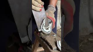 Great hoof trimming video extremely comfortable丨ASMR丨Donkey hoof cutting sound [upl. by Johnsson662]