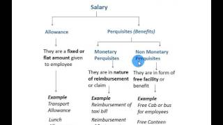 What are allowances and perquisites [upl. by Allenod]