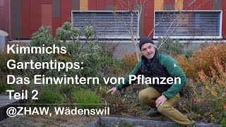 Kimmichs Gartentipps Das Einwintern von Pflanzen Teil 2 ZHAW Wädenswil [upl. by Kellsie826]