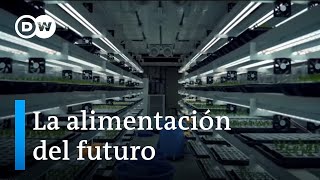 Soluciones para alimentar al mundo en el futuro [upl. by Trebliw]