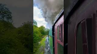 Behind Repton on the North Yorkshire moors steam gala 2024 NYMR SteamTrain Yorkshire ￼Railway ￼ [upl. by Dimitris786]