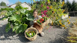 Making Dinner Right Out of the Garden and More [upl. by Sparky]