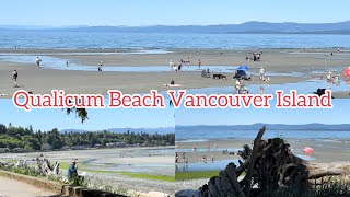 relaxing at Qualicum beach Vancouver Island BC [upl. by Shetrit]