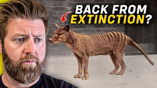 Is the Tasmanian Tiger REALLY Coming Back From Extinction [upl. by Anees642]