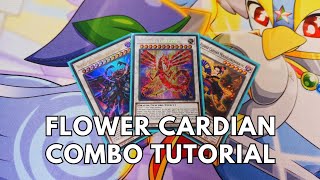 Flower Cardian Combo Tutorial August 2023 TCG Yugioh [upl. by Rema827]