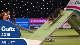 Agility  Championship Final  Crufts 2018 [upl. by Abil]