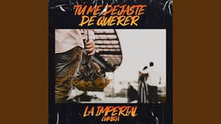 Tú Me Dejaste de Querer [upl. by Tonneson]