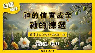 【神的信實成全祂的揀選】洪以琳牧師  台語禮拜LIVE直播  中壢長老教會  2024818 [upl. by Marcos724]