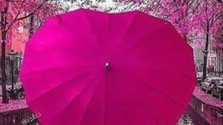 new favorite of liya 😆😅😂☔trendingviralvideotrendingvideoumbrellapinktopcutefunnyvideoreels [upl. by Eyla]