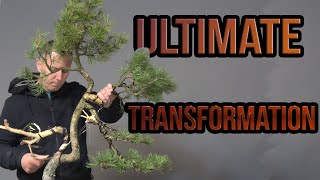 Ultimate transformation [upl. by Drusi]