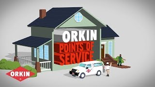 What to expect from Orkin Pest Control [upl. by Anegal]