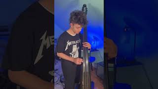 Tool  Forty Six and 2 on my upright electric bass toolarmy bassist basscover [upl. by Yennep834]