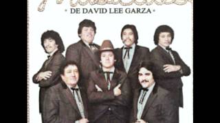 Tu Nuevo Querer  David Lee Garza y Los Musicales  Ram Herrera [upl. by Aizat915]