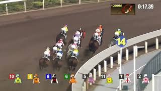 Hong Kong Sha Tin Saturday November 16 2024 Race 6 Handicap [upl. by Etom999]