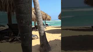 My vacation at Secrets Tides Punta Cana review [upl. by Melisse]