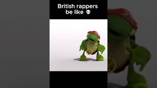 british turtle rapping meme shorts memes [upl. by Walli]