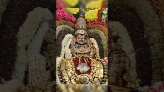 ஓம் நமசிவாய l Sivan Video sivan shiv Tiruvannamalai annamalaiyar girivalam arunachalam lord [upl. by Norab382]